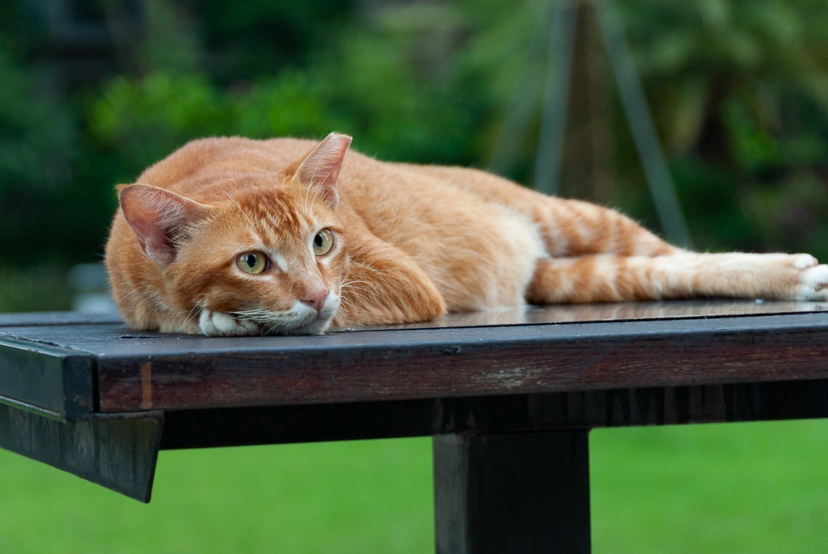 十月份精华荟萃