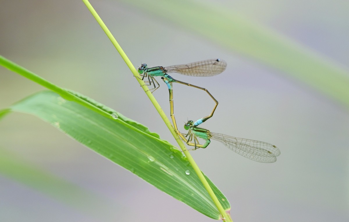 十月份精华荟萃