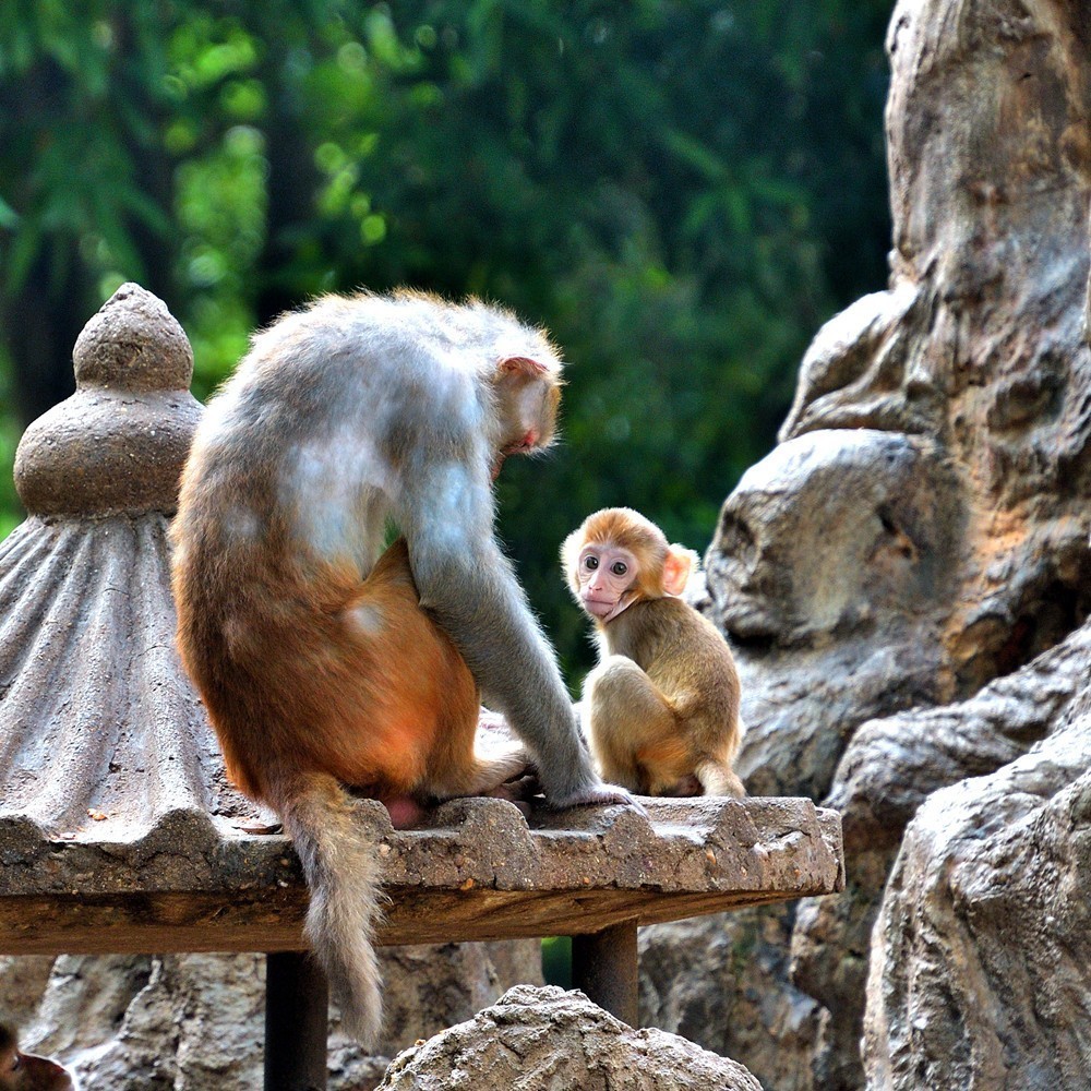 十月份精华荟萃