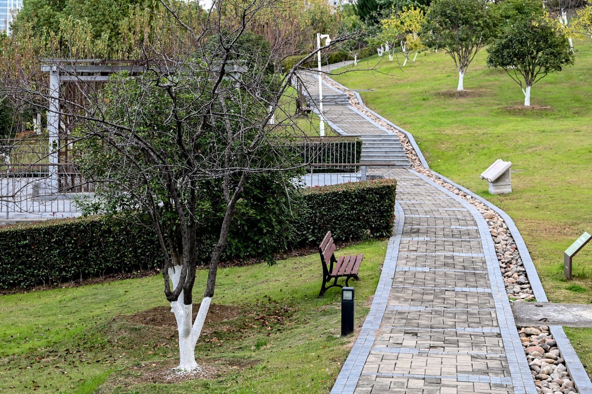 庐州印象（412）紫云山公园