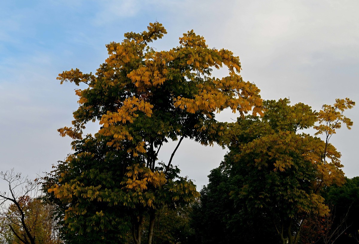 庐州印象（412）紫云山公园