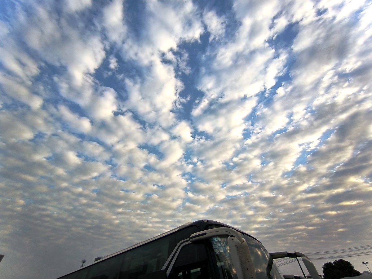 漫步星城 走街串巷（624）冬日暖阳