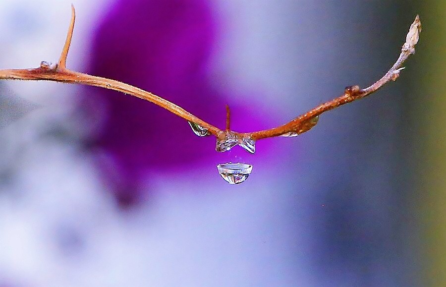 《不老松：纪实摄影》练拍水滴！