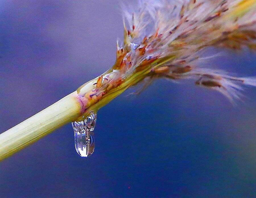 《不老松：纪实摄影》练拍水滴！