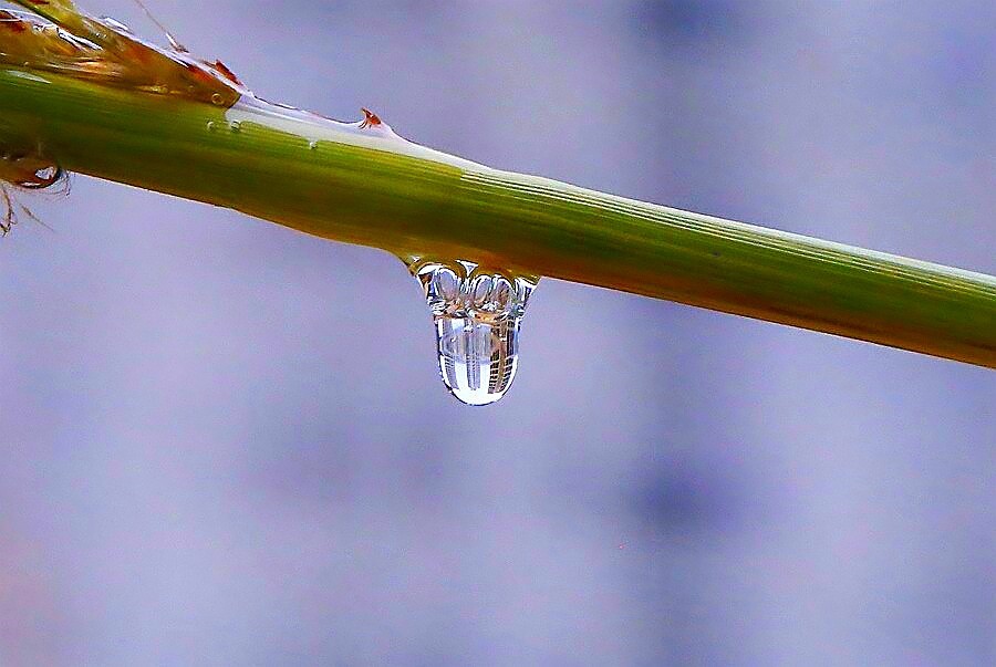 《不老松：纪实摄影》练拍水滴！