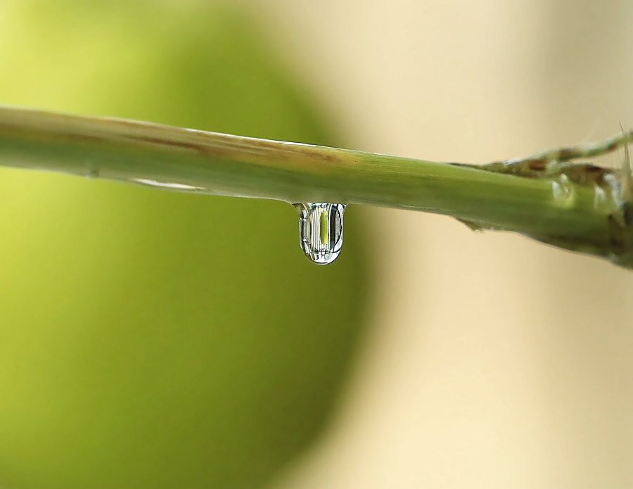 《不老松：纪实摄影》练拍水滴！