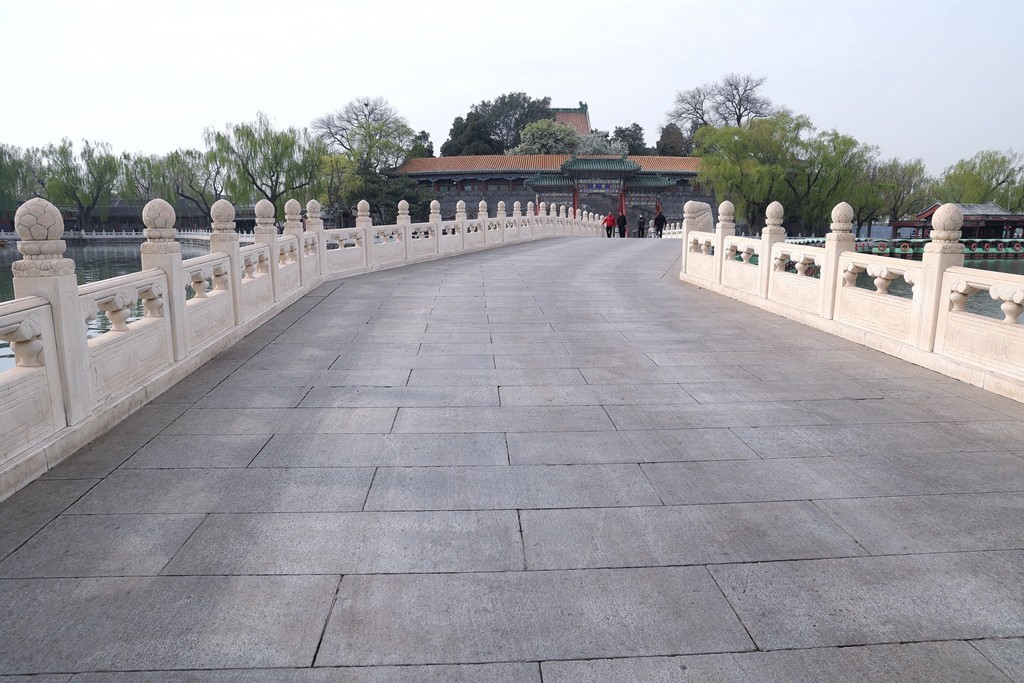 景山，北海，团城的花