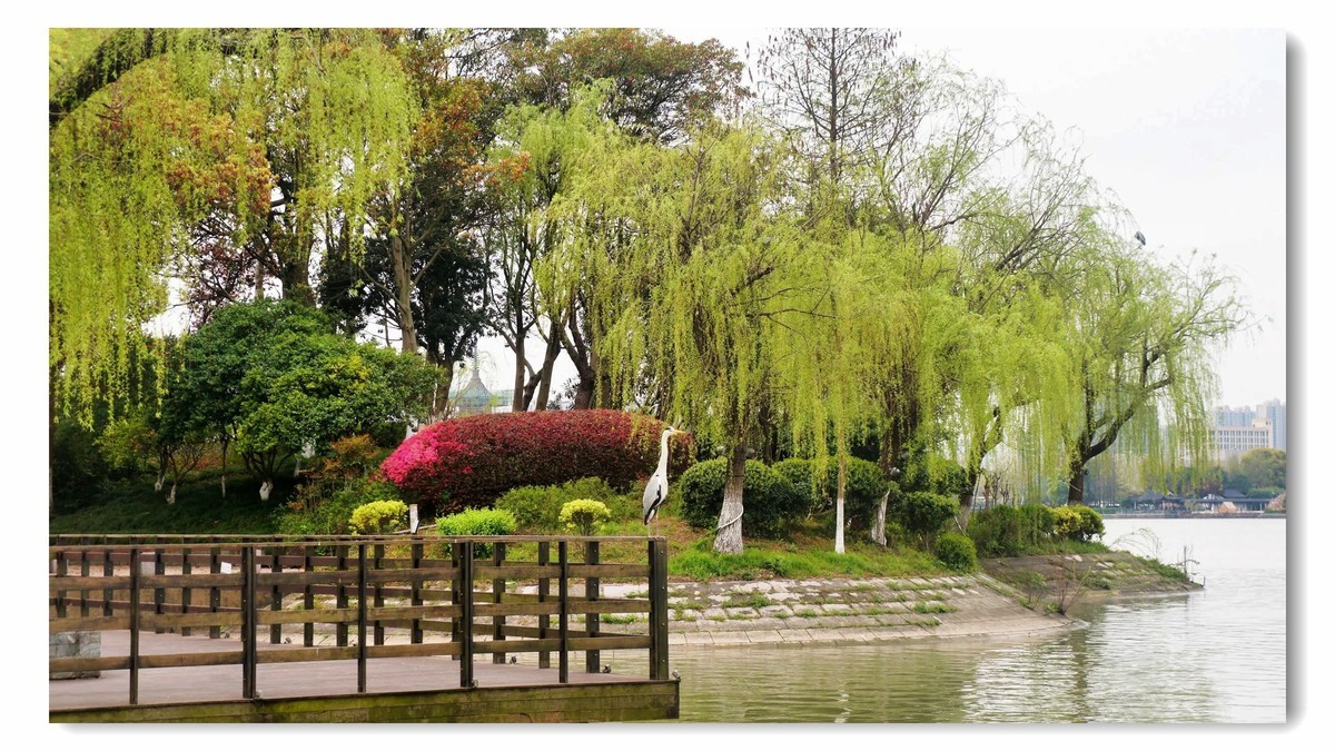 东湖游拍（嘉兴平湖）