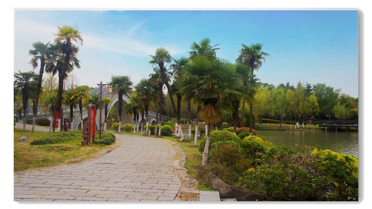 东湖游拍（嘉兴平湖）