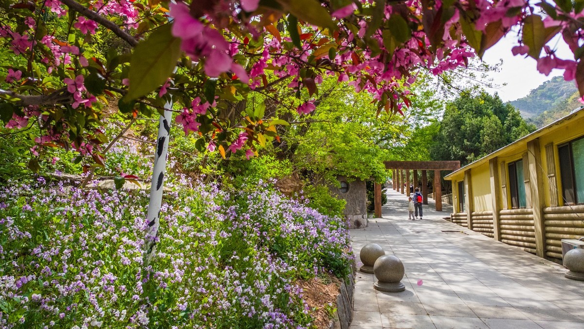 大 连 森 林 动 物 园 北 门