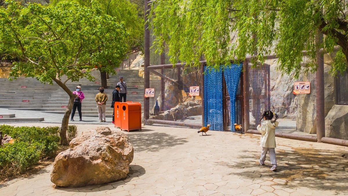 大 连 森 林 动 物 园 北 门