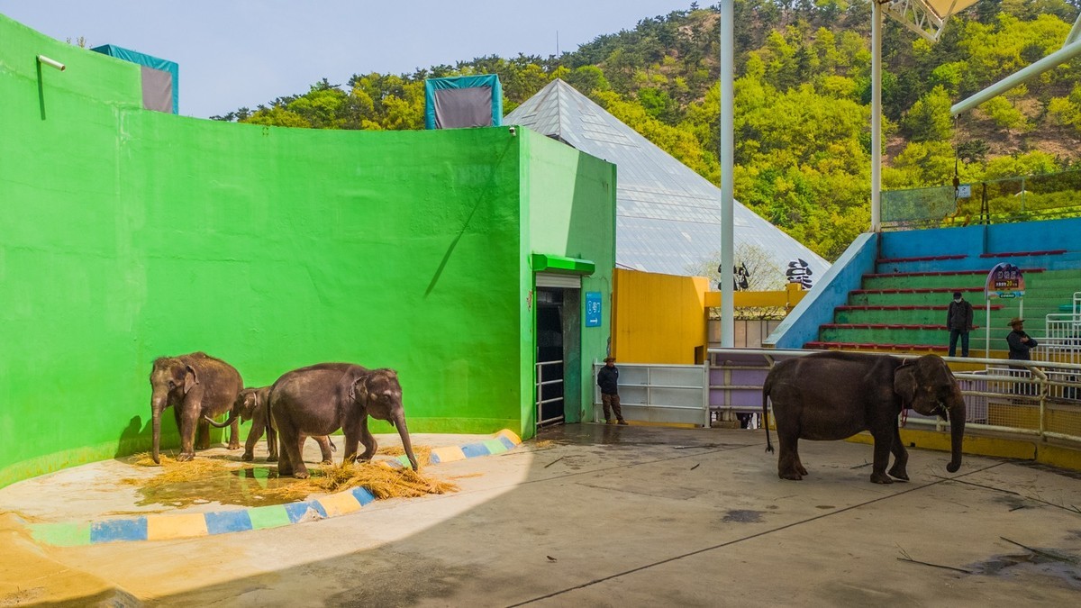 大 连 森 林 动 物 园 北 门