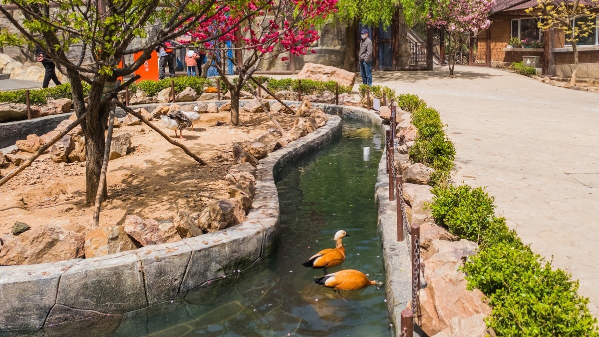 大 连 森 林 动 物 园 北 门