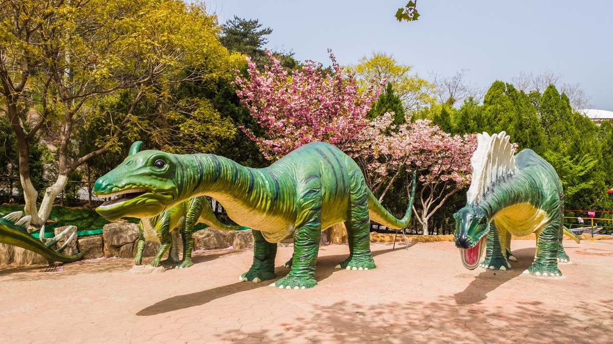 大 连 森 林 动 物 园 北 门