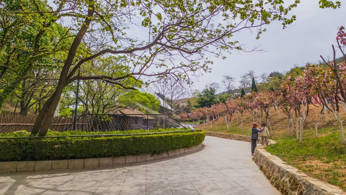 大 连 森 林 动 物 园 北 门