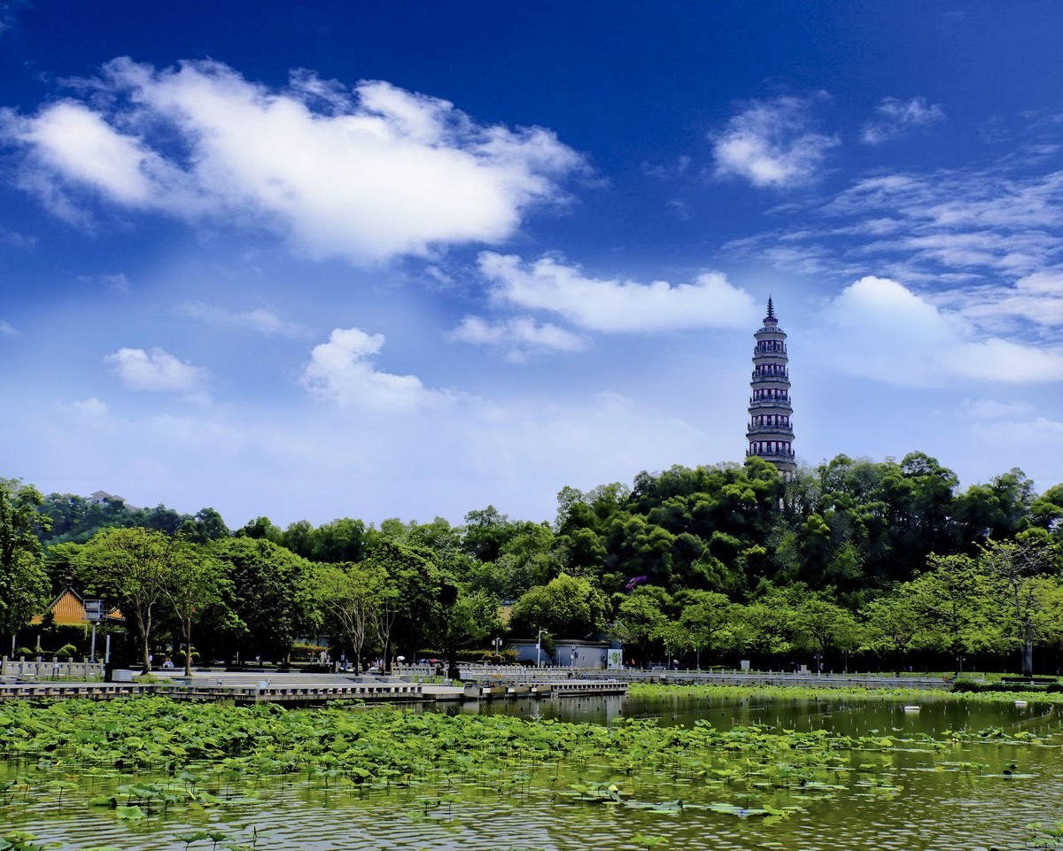 顺风山公园（5）