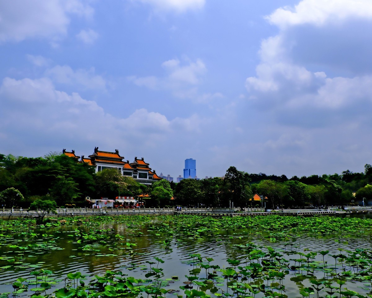 顺风山公园（5）