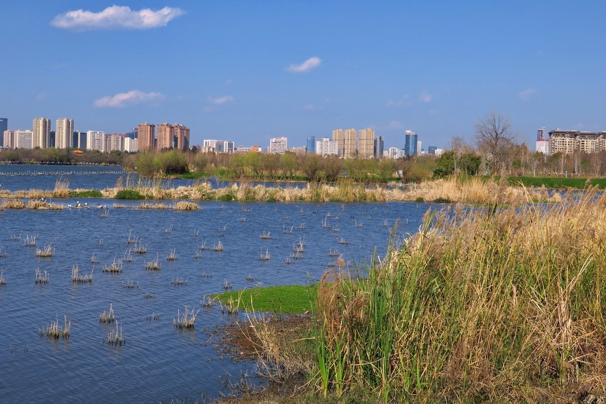 湿地公园游拍