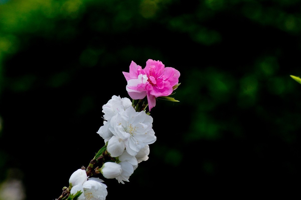 #版主坐堂#小五星空(中国)2022年9月精品荟萃