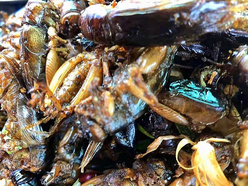 《不老松：异国风情彔：2015中国优导中游张松：柬埔寨》23第一次看到吃这些东西的。猜