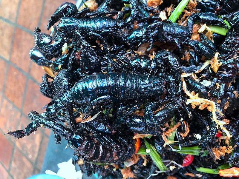 《不老松：异国风情彔：2015中国优导中游张松：柬埔寨》23第一次看到吃这些东西的。猜