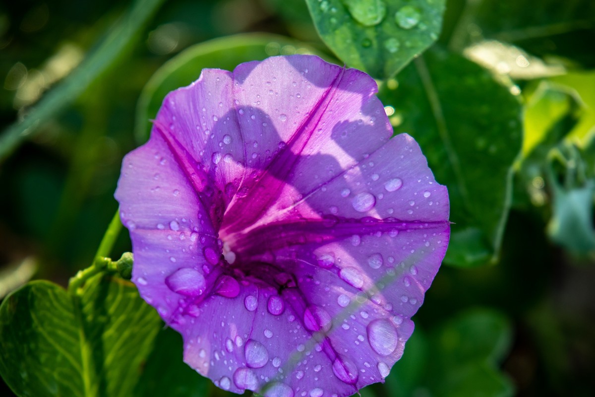 惠州——磨子石公园（二）