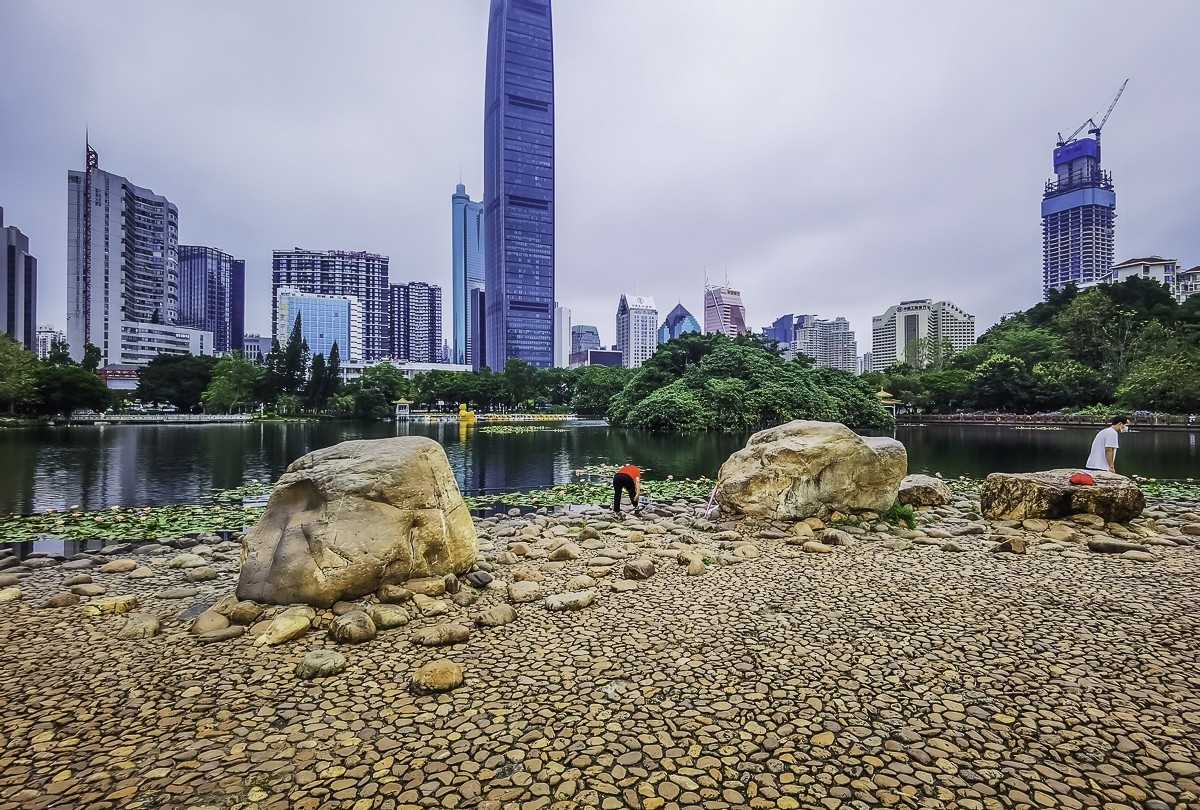 深圳荔枝公园掠影