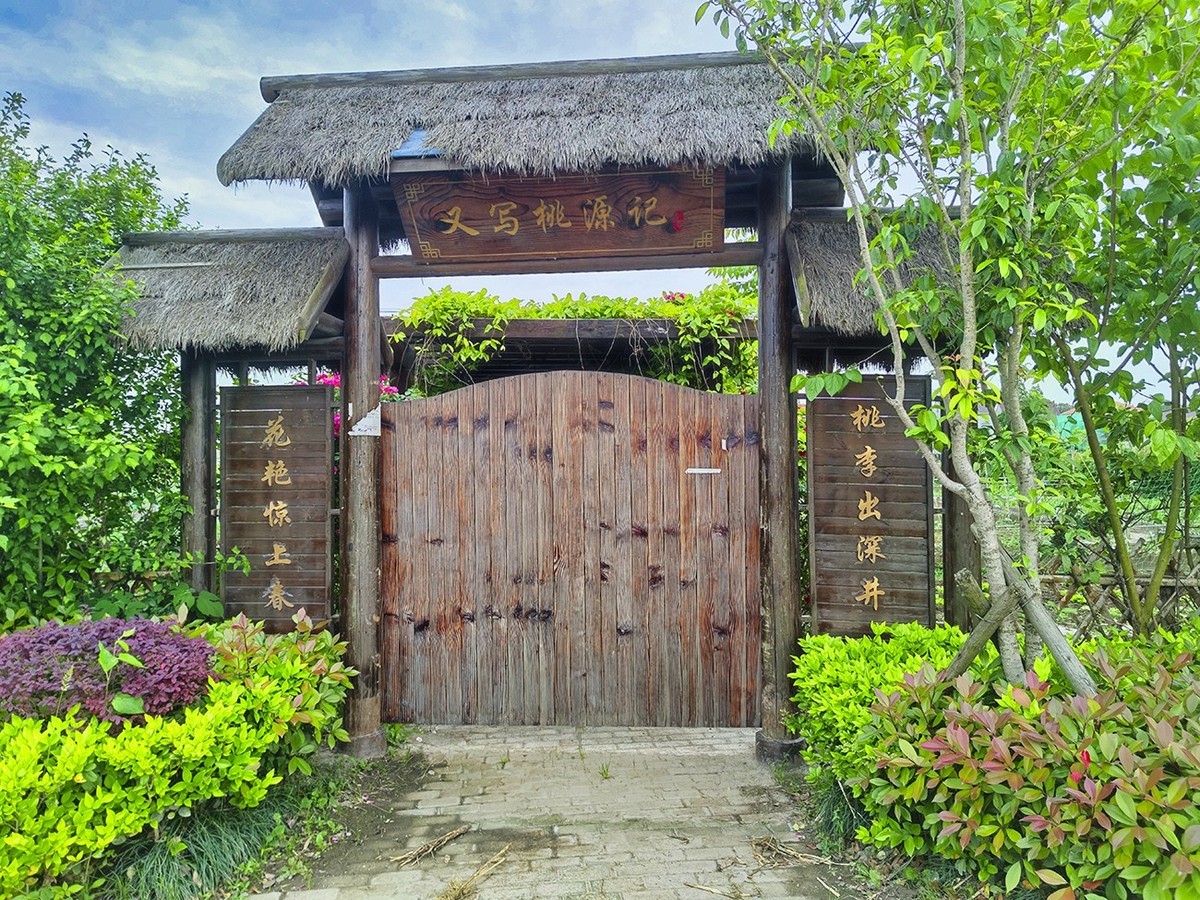 美丽乡村长达村