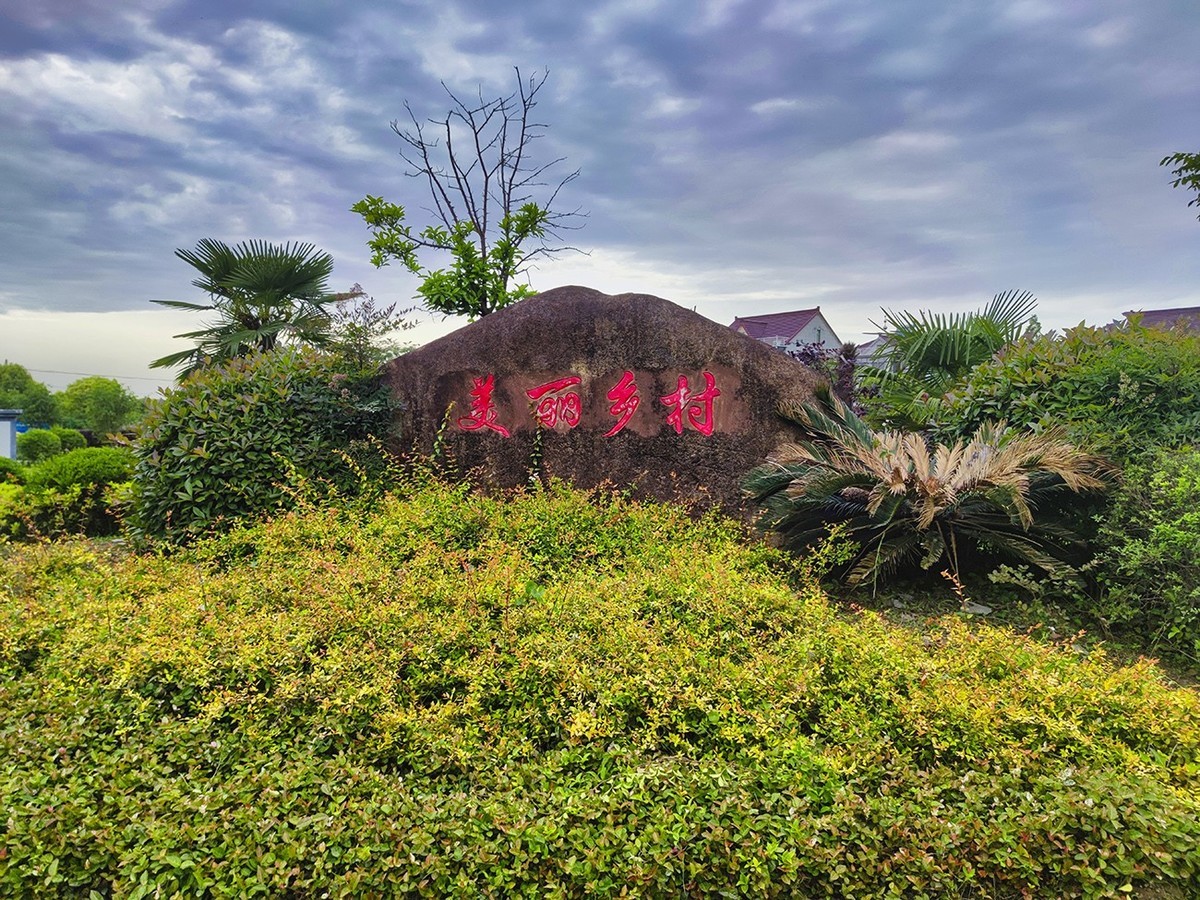 美丽乡村长达村