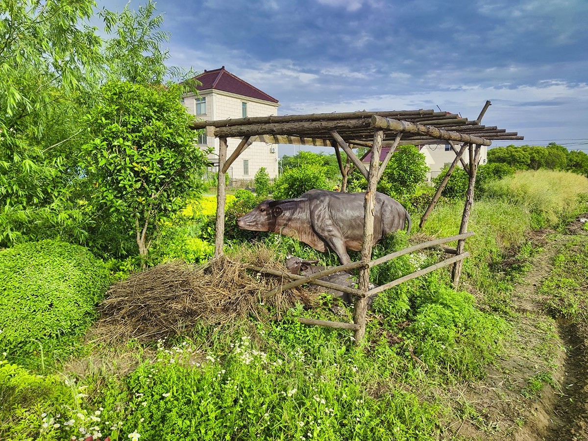 美丽乡村长达村