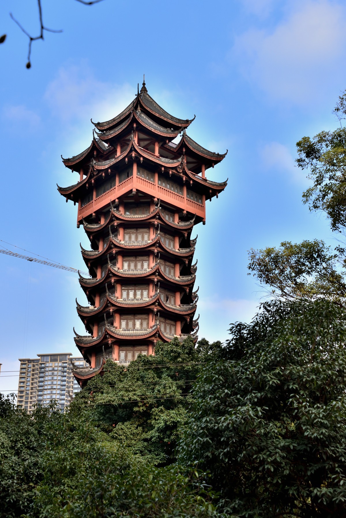 塔子山公园赏梅【4】