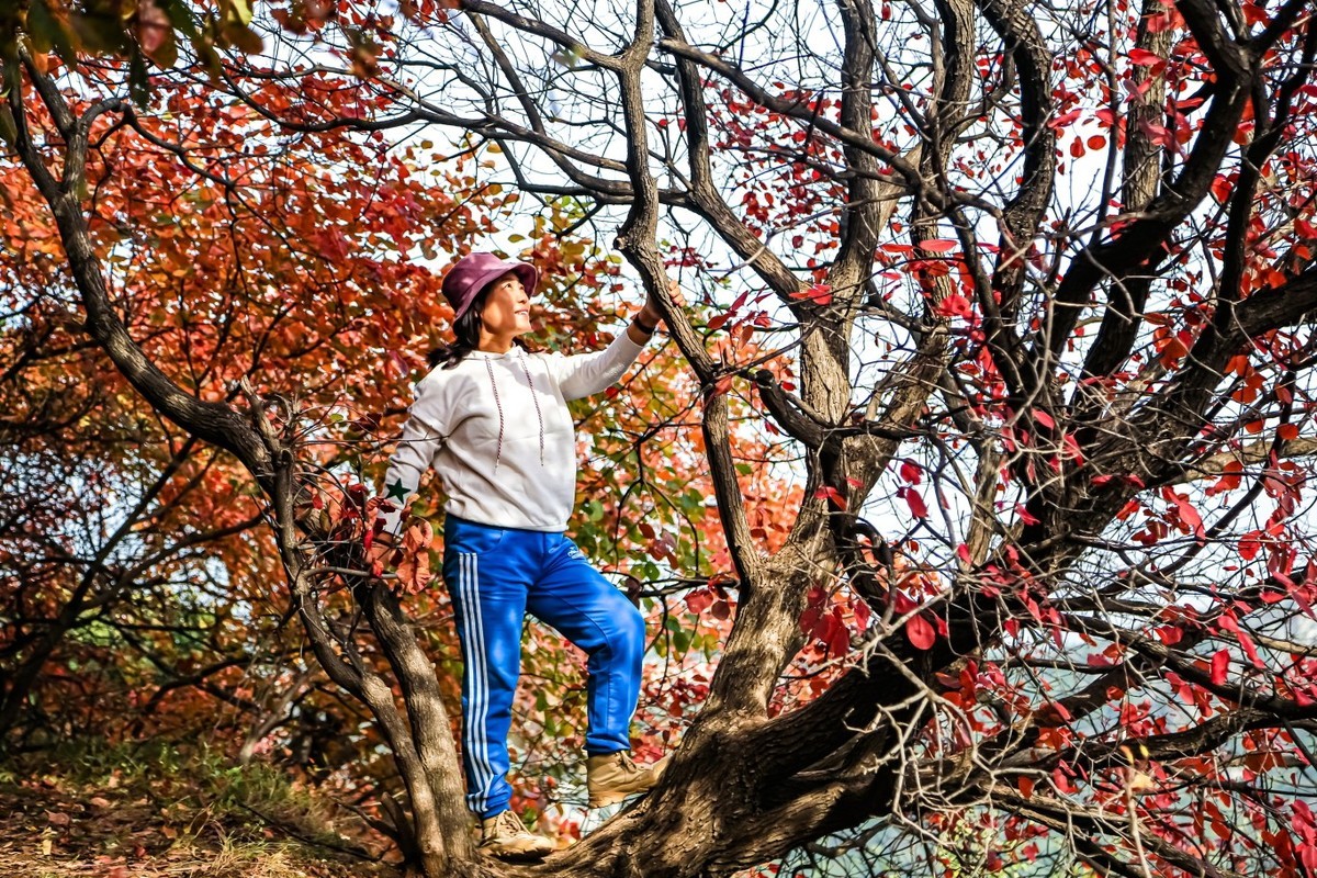 我和红叶有个约