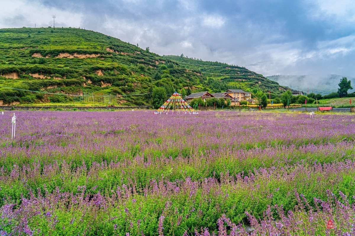 十月份精华荟萃