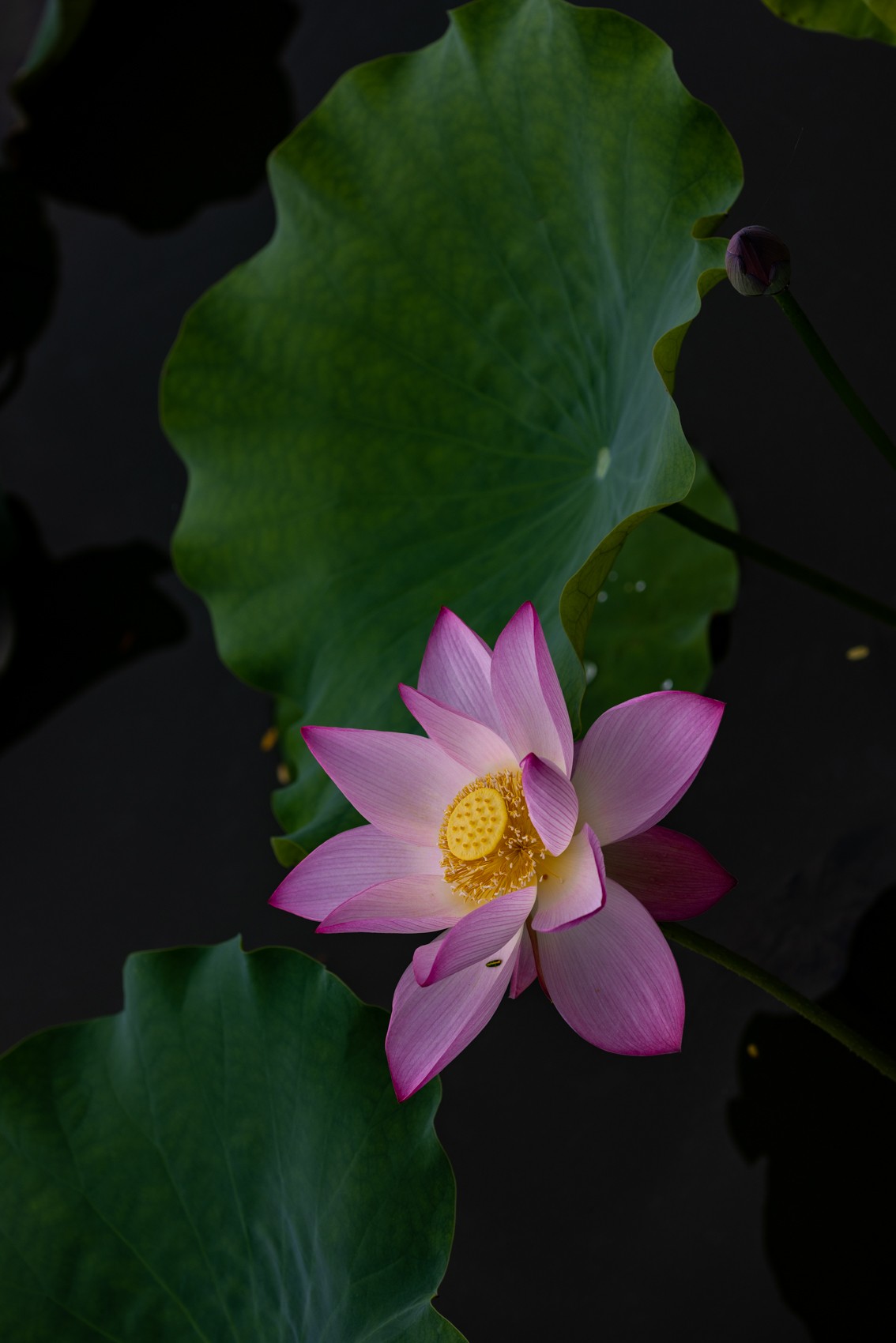 十月份精华荟萃