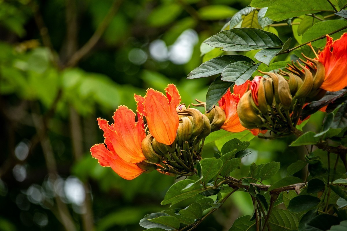 十月份精华荟萃