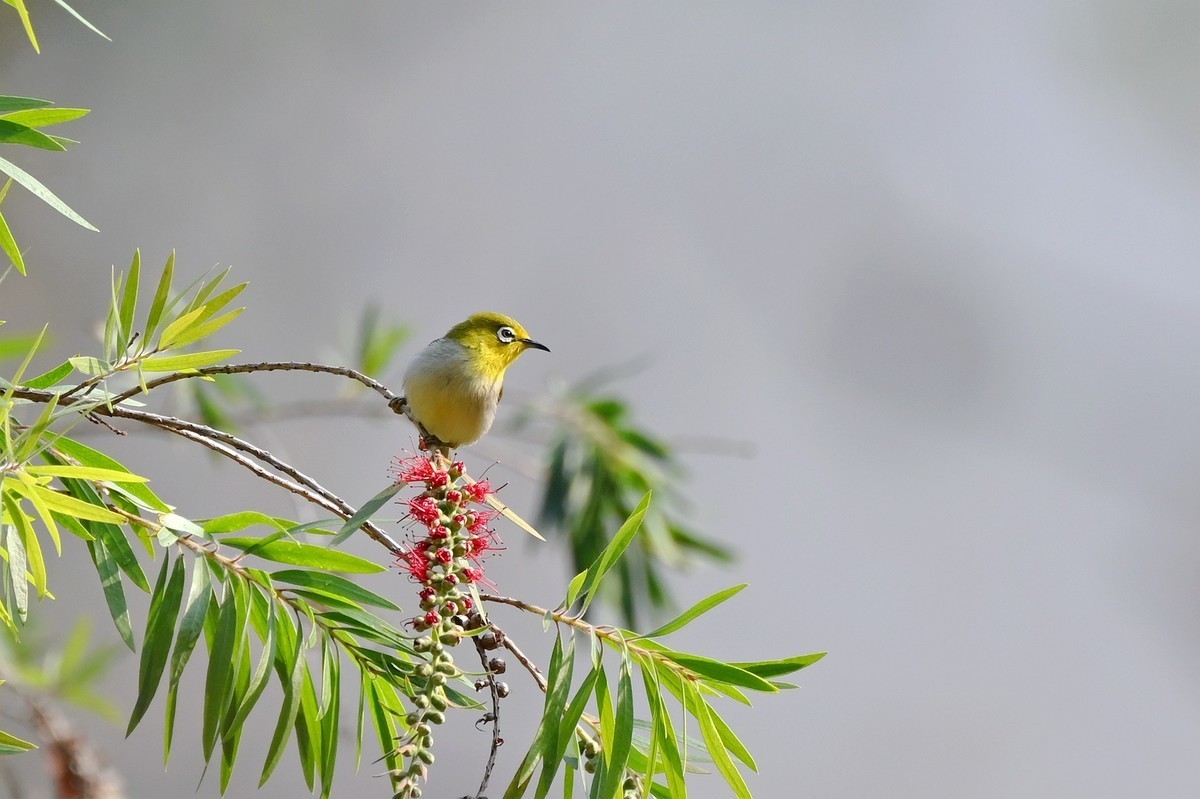 十月份精华荟萃