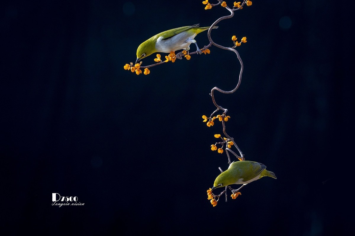 十月份精华荟萃