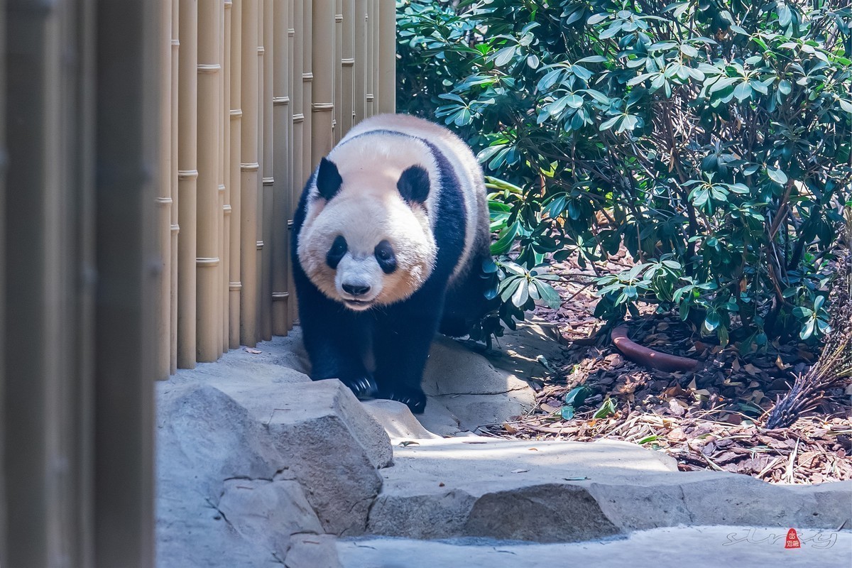 十月份精华荟萃