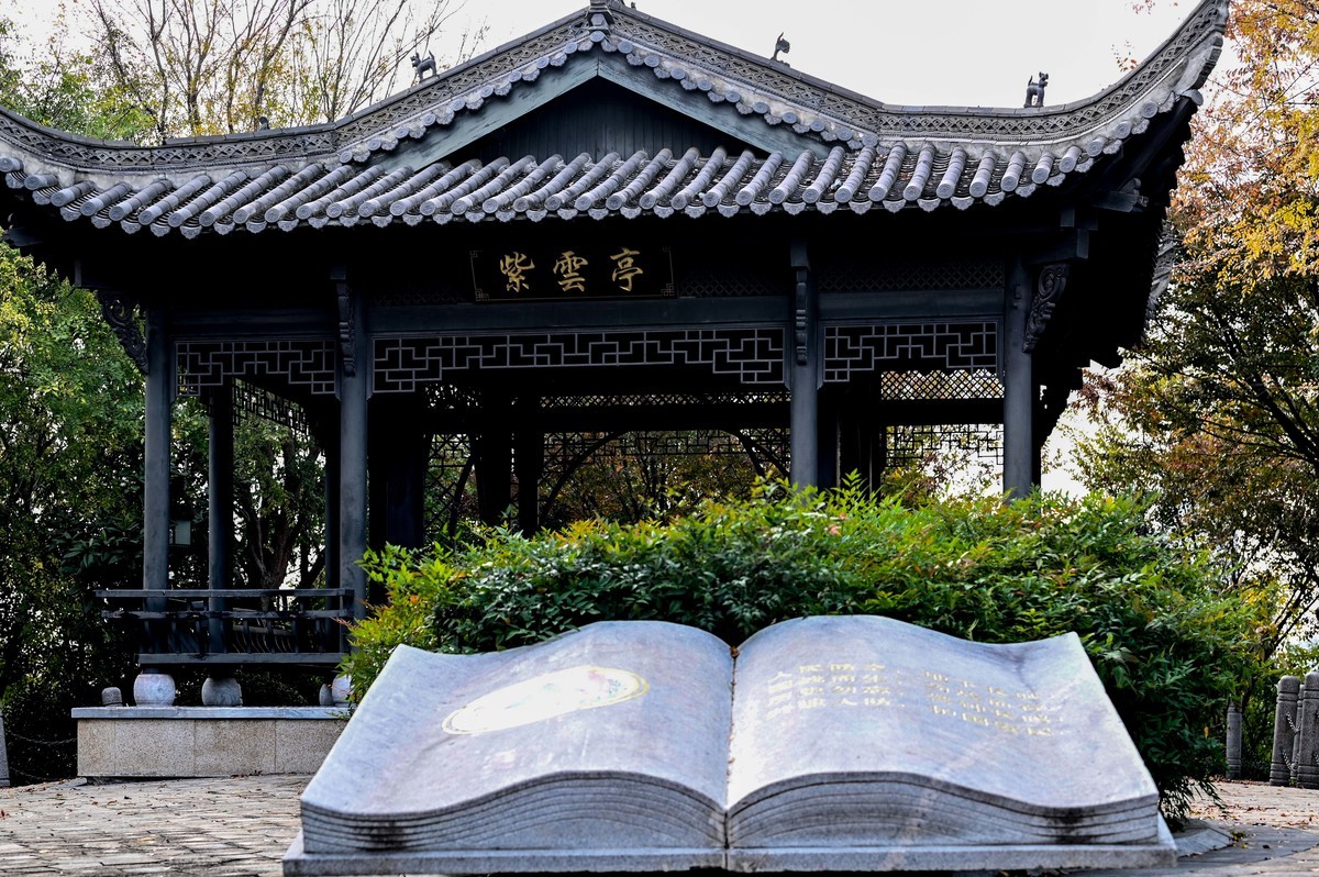 庐州印象（412）紫云山公园