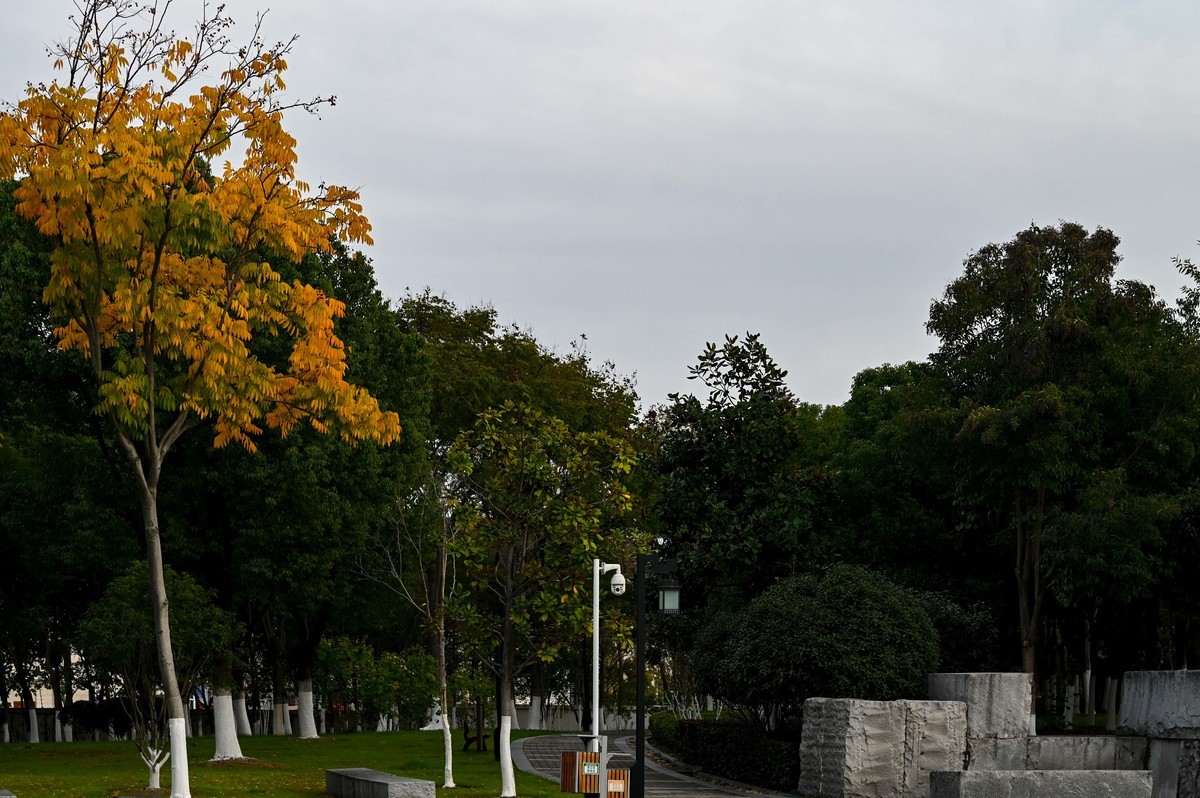 庐州印象（412）紫云山公园