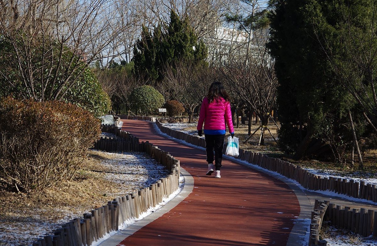 雪后天气晴朗--13P