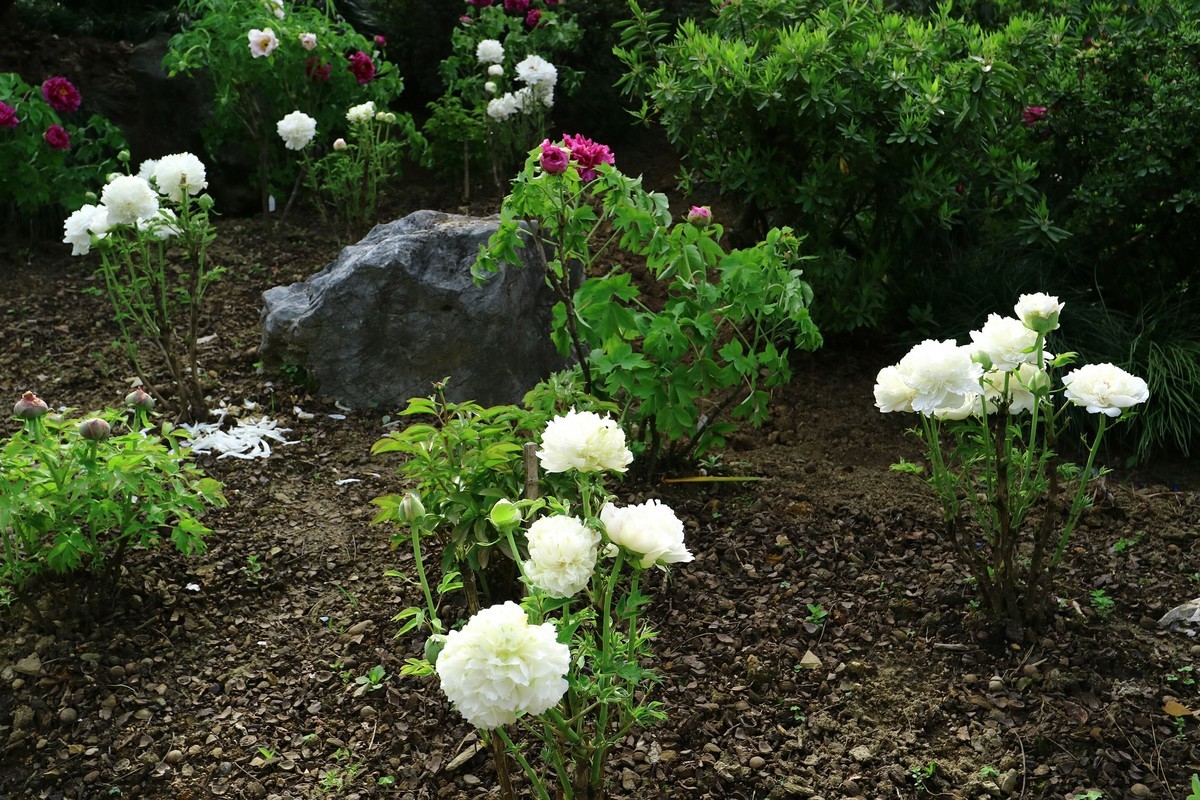 EF-M 11-22 既能拍广角，也适合拍中景、近景