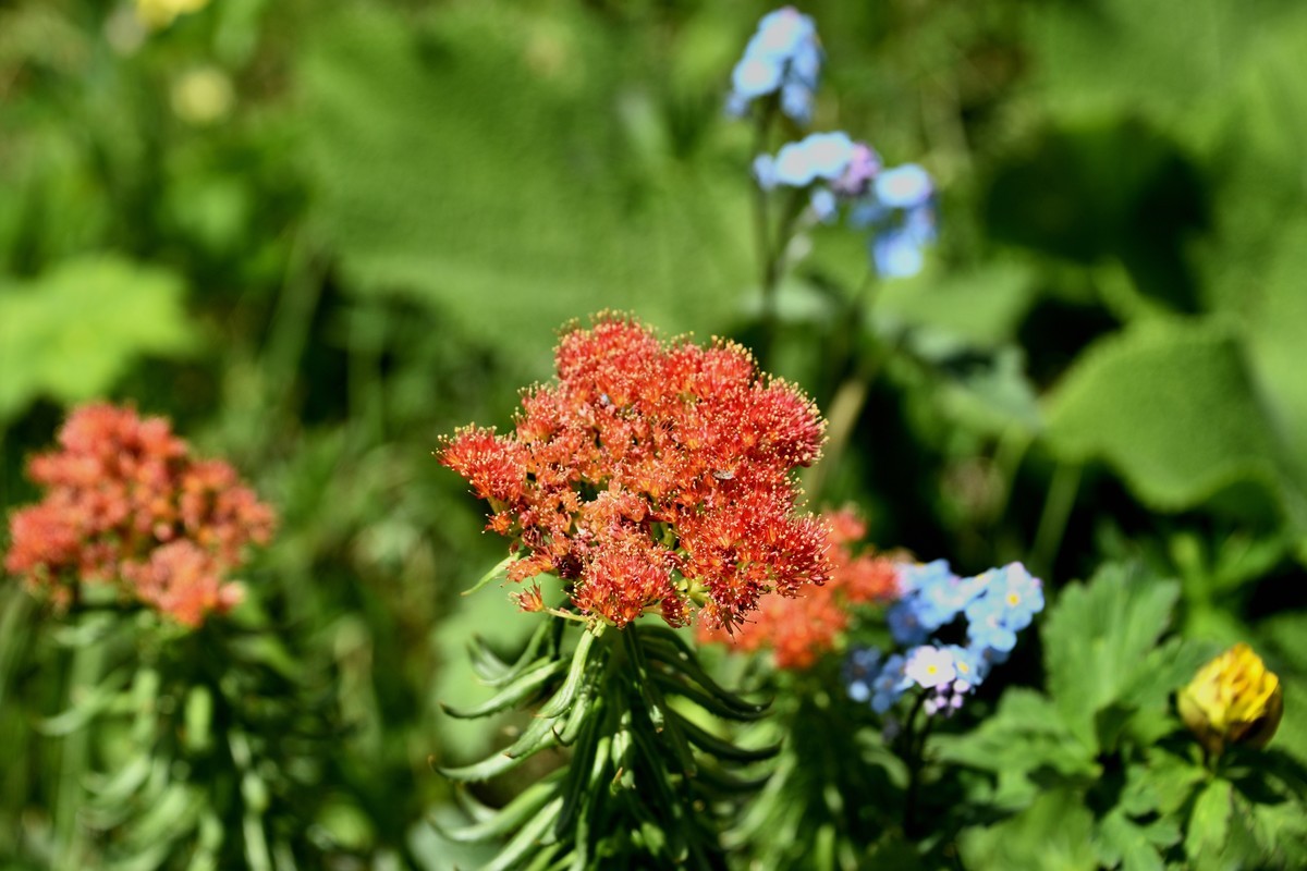 夏日新疆中部环线游拍——夏塔风景区【5】