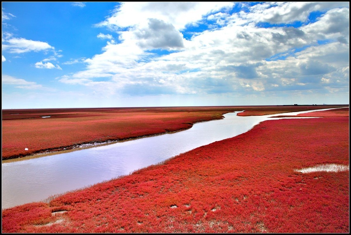 辽宁盘锦红海滩