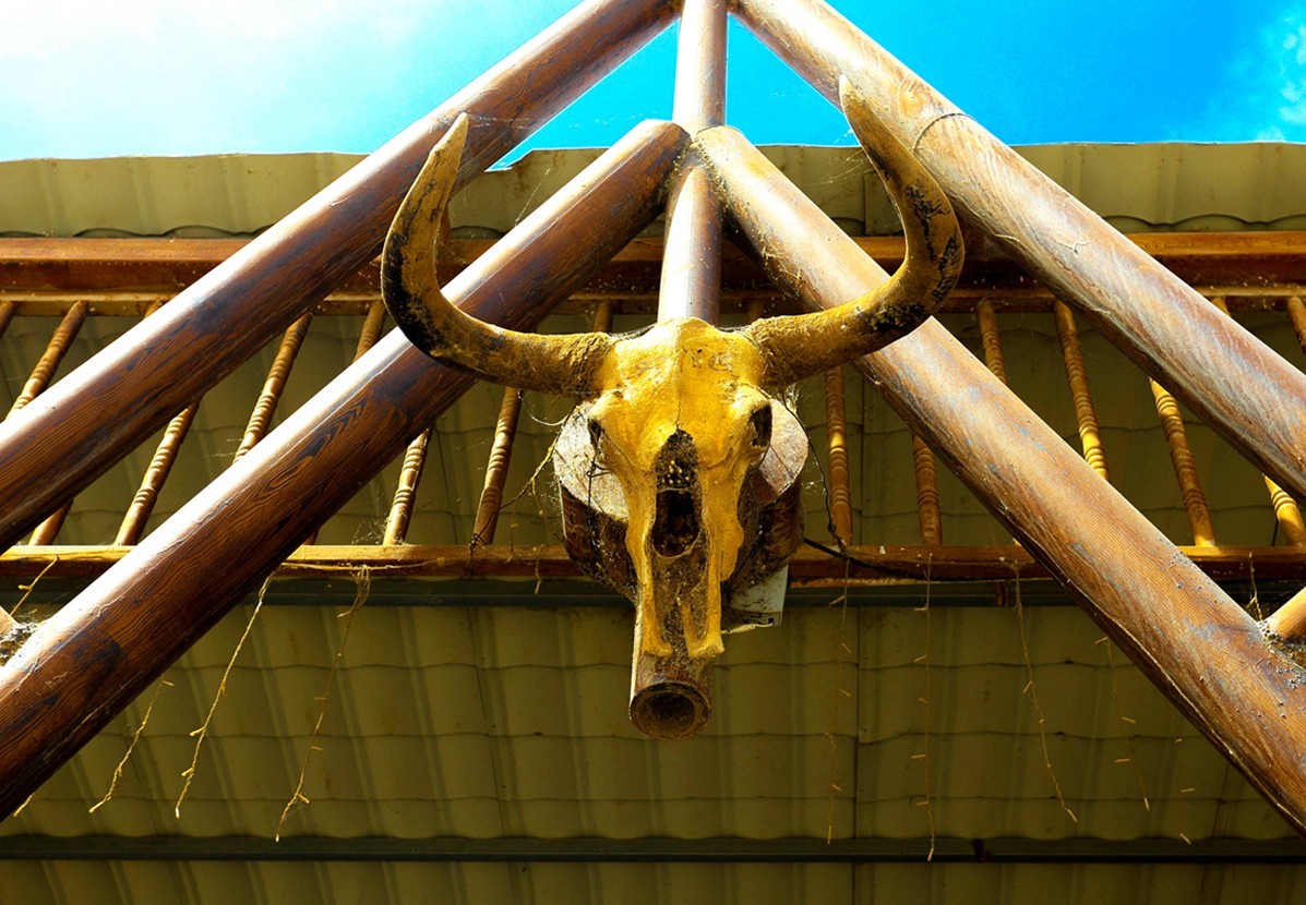 罗布人村寨---罗布人是古老的民族之一 生活在新疆的塔克拉玛干沙漠 塔里木河边