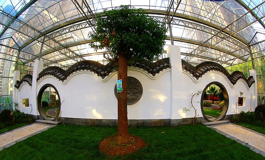 《不老松：纪实摄影》沧州印象  醉美金秋！ (15)