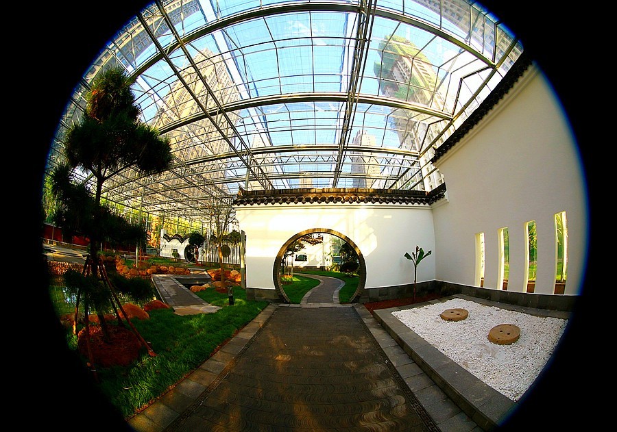 《不老松：纪实摄影》沧州印象  醉美金秋！ (15)