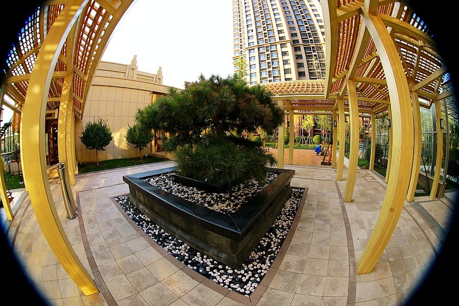 《不老松：纪实摄影》沧州印象  醉美金秋！ (15)