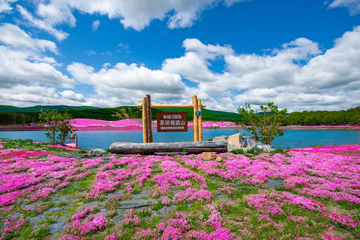 圣洁摇篮山芝樱花公园