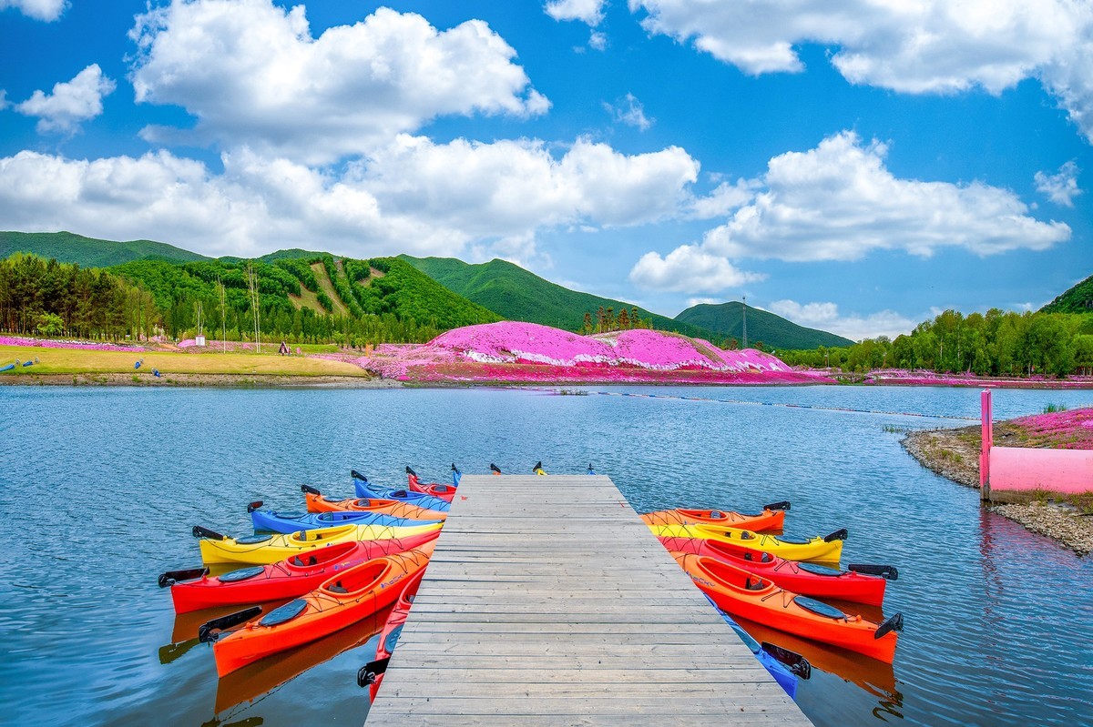 圣洁摇篮山芝樱花公园